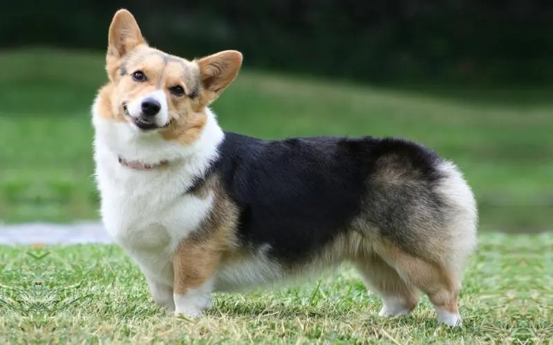 �����޿�����ʿ�»�Ȯ�ص�---���ݼ���Ȯ