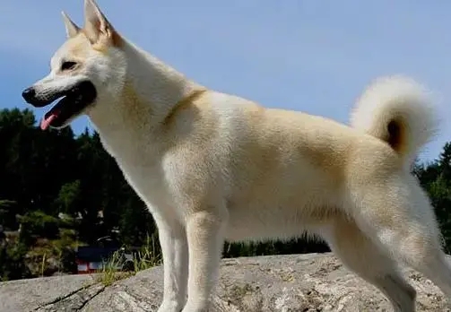 Ų������Ȯ�ص�---���ݼ���Ȯ